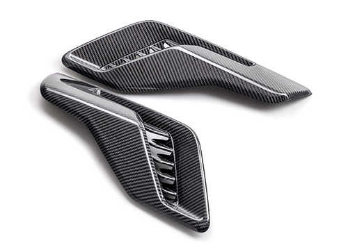 F-150 RAPTOR CARBON FIBER FENDER VENT SET - GLOSS