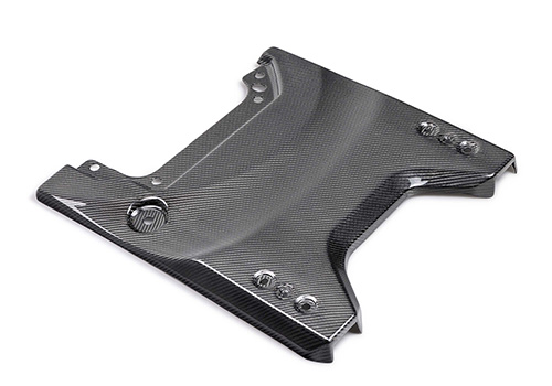 BRONCO RAPTOR CARBON FIBER TAILGATE APPLIQUE-GLOSS