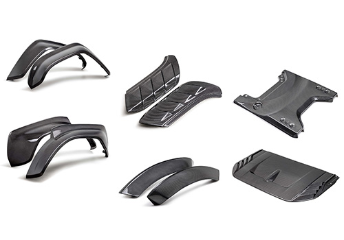 BRONCO RAPTOR CARBON FIBER APPEARANCE KIT-GLOSS
