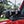 FORD PERFORMANCE PARTS BY RIGID® BRONCO DUAL MIRROR MOUNTED OFF-ROAD LIGHTS